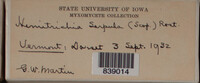 Image Associated With the Occurence